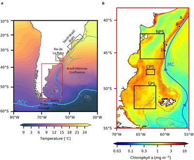 Interannual Variability and Trends of Sea Surface Temperature Around Southern South America